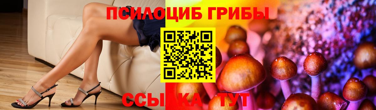 Красногорск  Псилоцибиновые грибы Cubensis  закладка  Псилоцибиновые грибы Cubensis  Вход с VPN 
